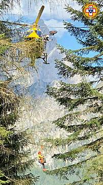 Scivola nel bosco