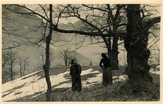 Franco-e-Nino- Bosco delle Castagne