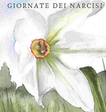 Giornate dei Narcisi Giornate dei Narcisi