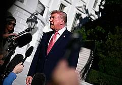 Guerriglia a Milano, Trump, In Italia e Francia colpa dell'immigrazione, l'avevo detto. Guerriglia a Milano, Trump, In Italia e Francia colpa dell'immigrazione, l'avevo detto.