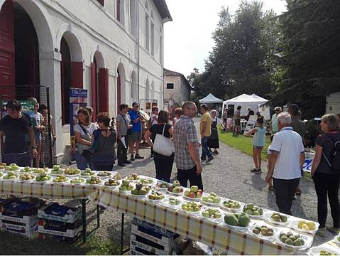 pom e per 2021 2 pom e per 2021 2