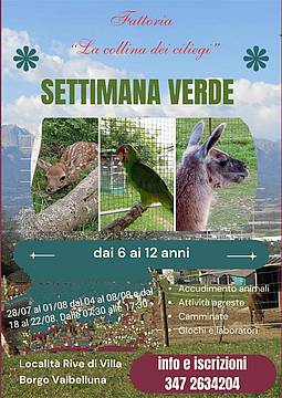 Settimana Verde 2025 Settimana Verde 2025