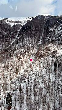 nelle vicinanze del Bivacco Murelon Scopel a 1.483m sul Col dell'orso nel Massiccio del Grappa nelle vicinanze del Bivacco Murelon Scopel a 1.483m sul Col dell'orso nel Massiccio del Grappa