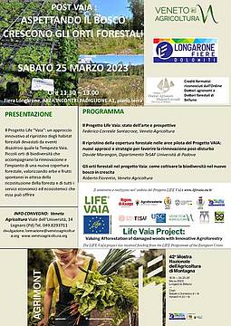03_25_Agrimont_vaia