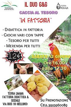 Caccia al Tesoro in Fattoria