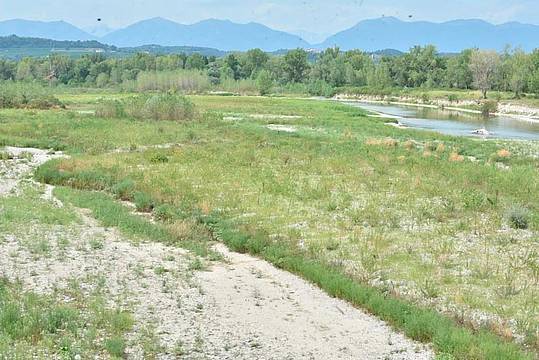 Il letto del Piave nei pressi di Ponte della Priula, nel Trevigiano