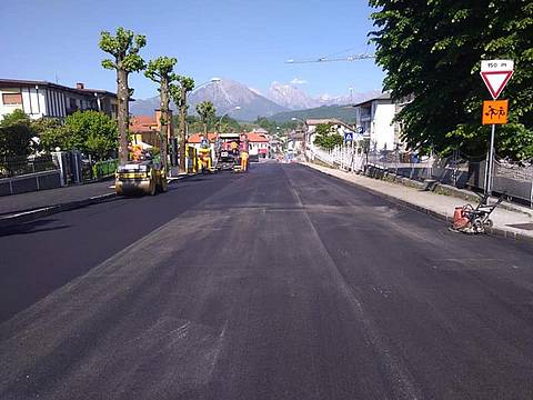 Verde urbano a Belluno - Capitozzature 6 Verde urbano a Belluno - Capitozzature 6