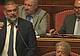 La seduta in Senato, in piedi Luca De Carlo