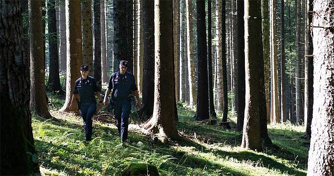 Giornata internazionale delle foreste