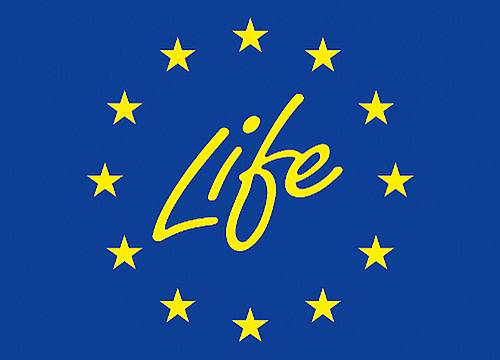2022 Life Vaia - logo