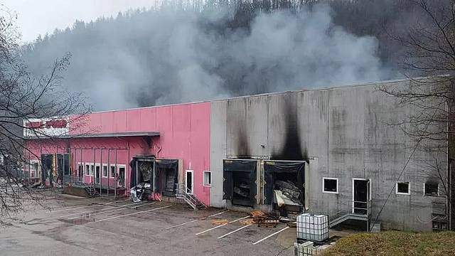 Il magazzino delle carni e la logistica del freddo distrutti dalle fiamme, all'ex Vena d'Oro tra Belluno e Ponte nelle Alpi Il magazzino delle carni e la logistica del freddo distrutti dalle fiamme, all'ex Vena d'Oro tra Belluno e Ponte nelle Alpi