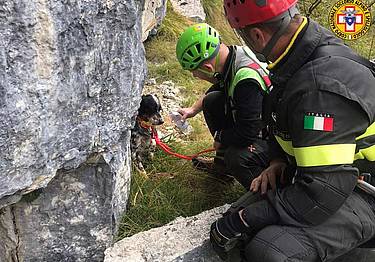 su una cengia in località Coston 1
