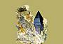 Le Fogge delle Rocce_Anatasio