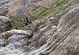 sentiero che costeggia il torrente in Val Montina 1
