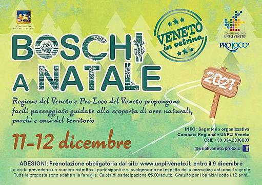 Boschi di Natale - Cartolina_2021 1 Boschi di Natale - Cartolina_2021 1