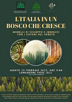 Locandina-Italia-in-un-Bosco-che-cresce-seminario-15-02-2025