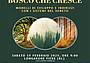 Locandina-Italia-in-un-Bosco-che-cresce-seminario-15-02-2025