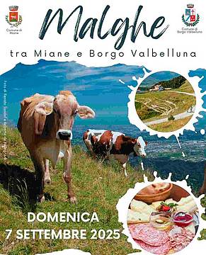 Malghe tra Miane e Borgo Valbelluna 2025
