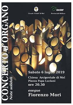 Concerto d'Organo MEL 2019