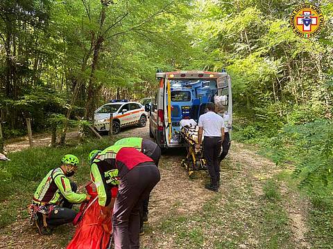 lungo un percorso di downhill sulla Presa 12 del Montello lungo un percorso di downhill sulla Presa 12 del Montello