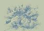 Grafica Westerlind DC Feltre