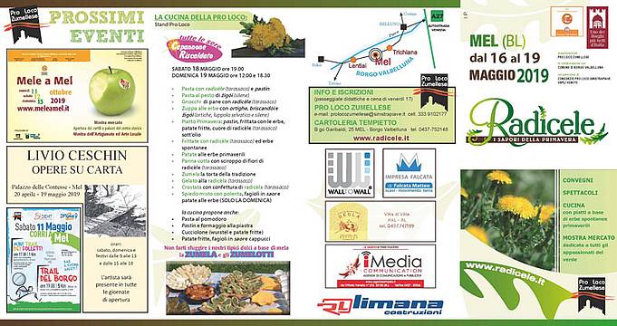 radicele_2019_Pagina_1