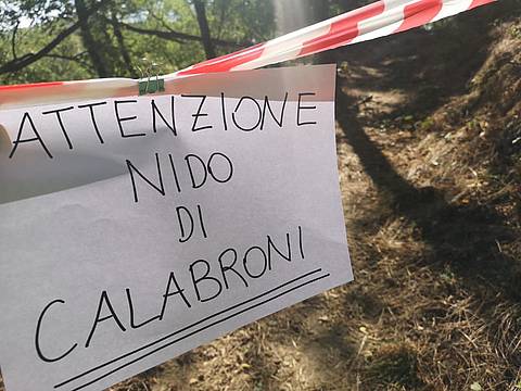 lungo-il-sentiero-numero-18-di-Villa-Draghi---Montegrotto-Terme