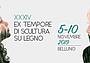 Ex Tempore Scultura su Legno