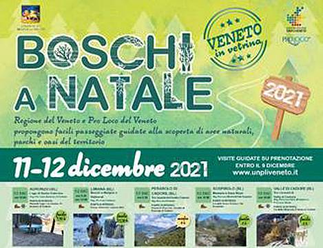 Boschi a Natale