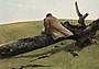 Andrew Newell Wyeth (American, 1917-2009), April Wind, 1952. Egg tempera on gesso panel. Gift of Mr. and Mrs. Joseph R. Swan, 1957.628