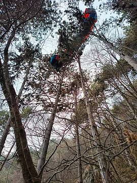 Pilota di parapendio sospeso su un albero Pilota di parapendio sospeso su un albero
