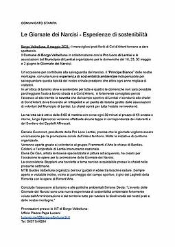 Comunicato Stampa Narcisi Comunicato Stampa Narcisi