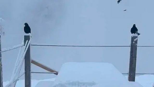 La nevicata nel Bellunese