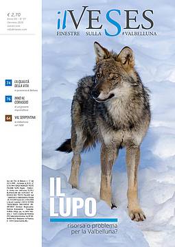 Veses copertina gennaio 2020