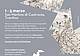 Workshop acquerello DIPINGERE LA NEVE