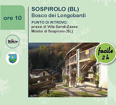 BoschiNatale20-EventoSospirolo BoschiNatale20-EventoSospirolo