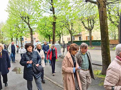 Italia Nostra dice no al taglio degli alberi di via Feltre