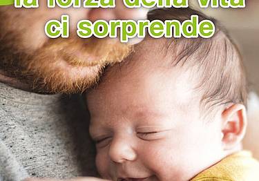 Una primula per far fiorire la vita