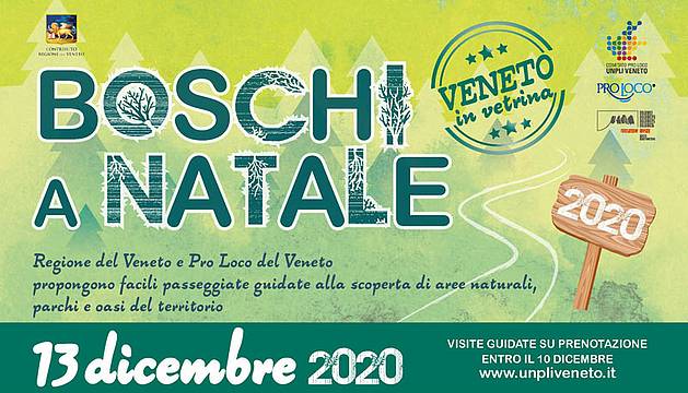 Boschi a Natale 2020 - intestazione Boschi a Natale 2020 - intestazione