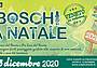 Boschi a Natale 2020 - intestazione
