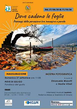 volantino dove cadono le foglie 1