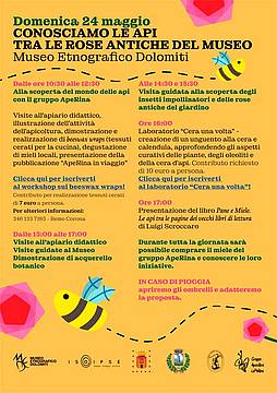 CONOSCIAMO LE API TRA LE ROSE
