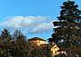 Belluno città degli alberi monumentali