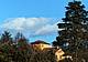 Belluno città degli alberi monumentali
