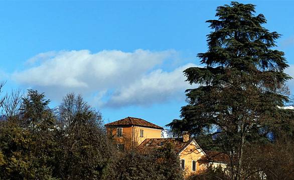 Belluno città degli alberi monumentali Belluno città degli alberi monumentali