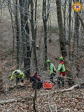 in un bosco non distante dal cimitero di Lusiana in un bosco non distante dal cimitero di Lusiana