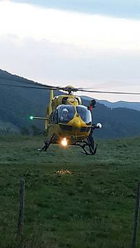 Altre Emergenze Altre Emergenze
