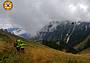 nei pressi del Rifugio Pian de Fontana