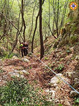 nel bosco a nord della palestra di roccia di Santa Felicita nel bosco a nord della palestra di roccia di Santa Felicita