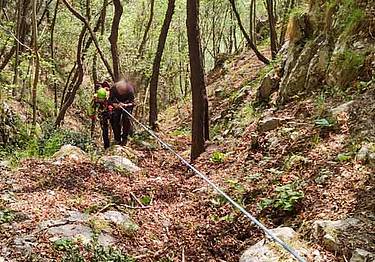 nel bosco a nord della palestra di roccia di Santa Felicita